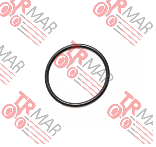 O-Ring