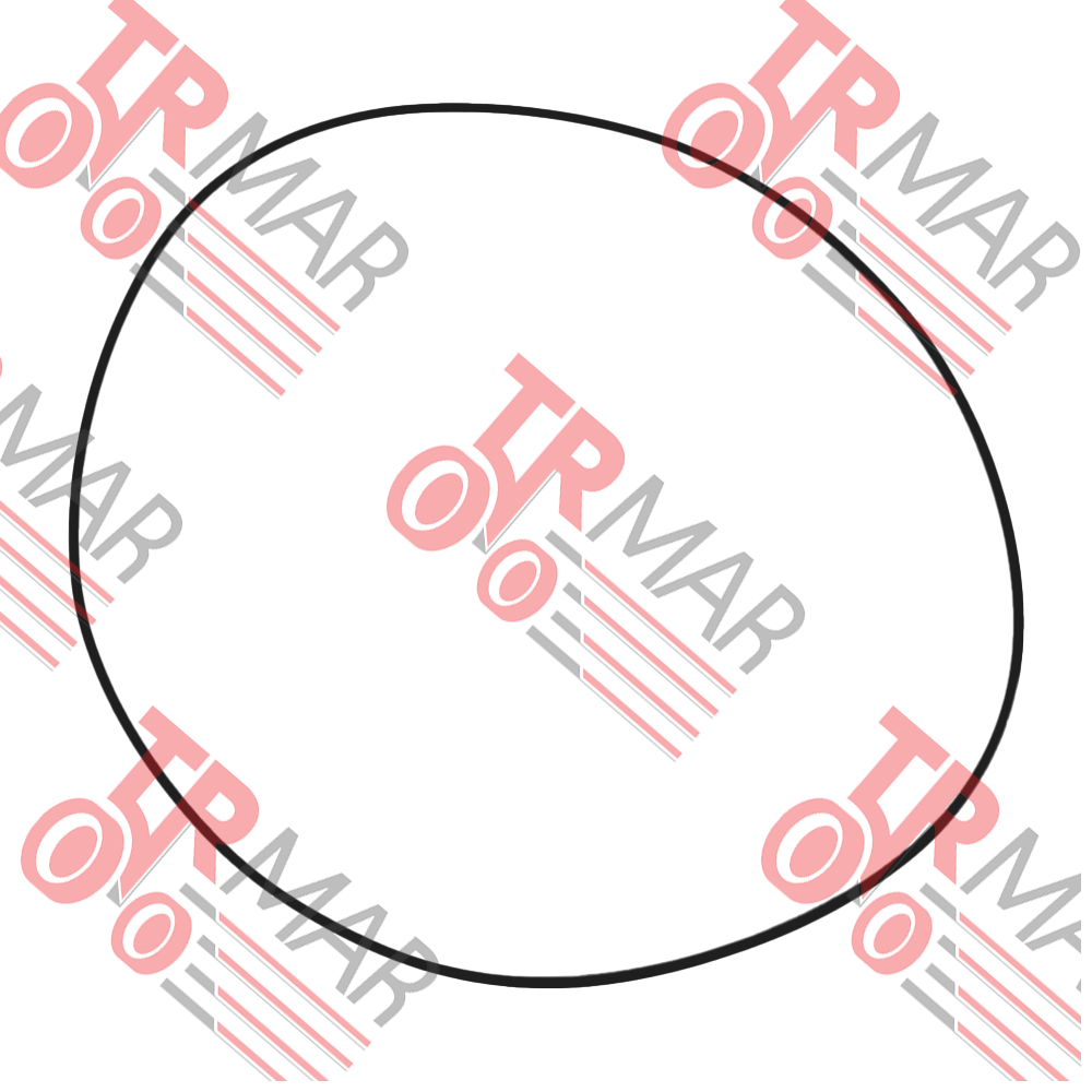 O-ring