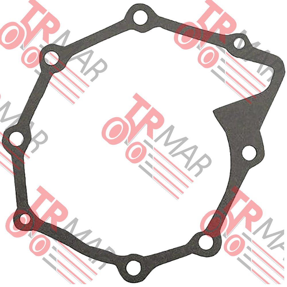 Water Pump Gasket