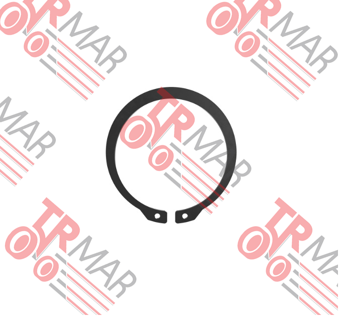 Snap Ring