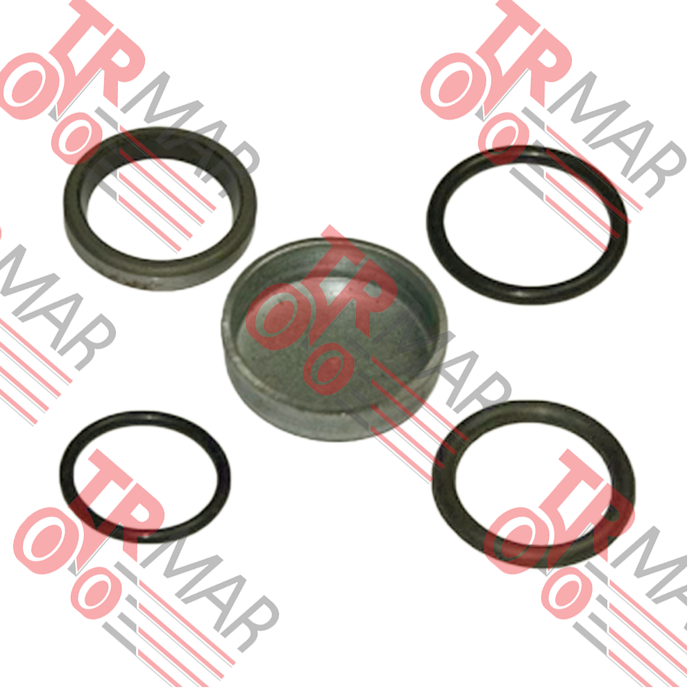Brake Seal Repair Kit w/Plugs