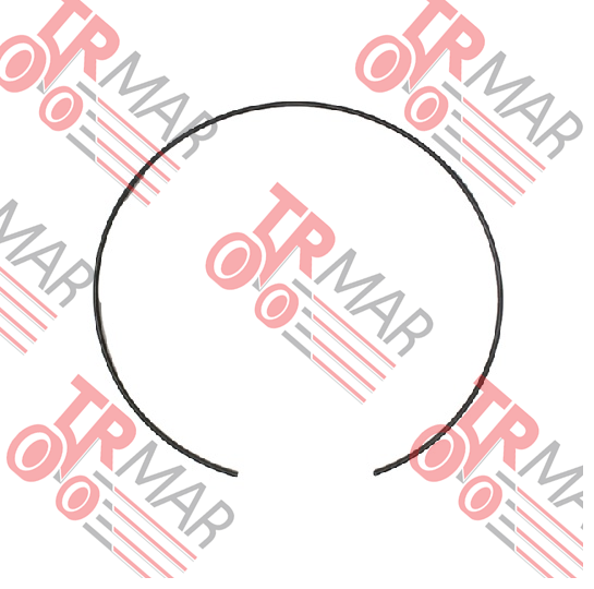 Snap Ring