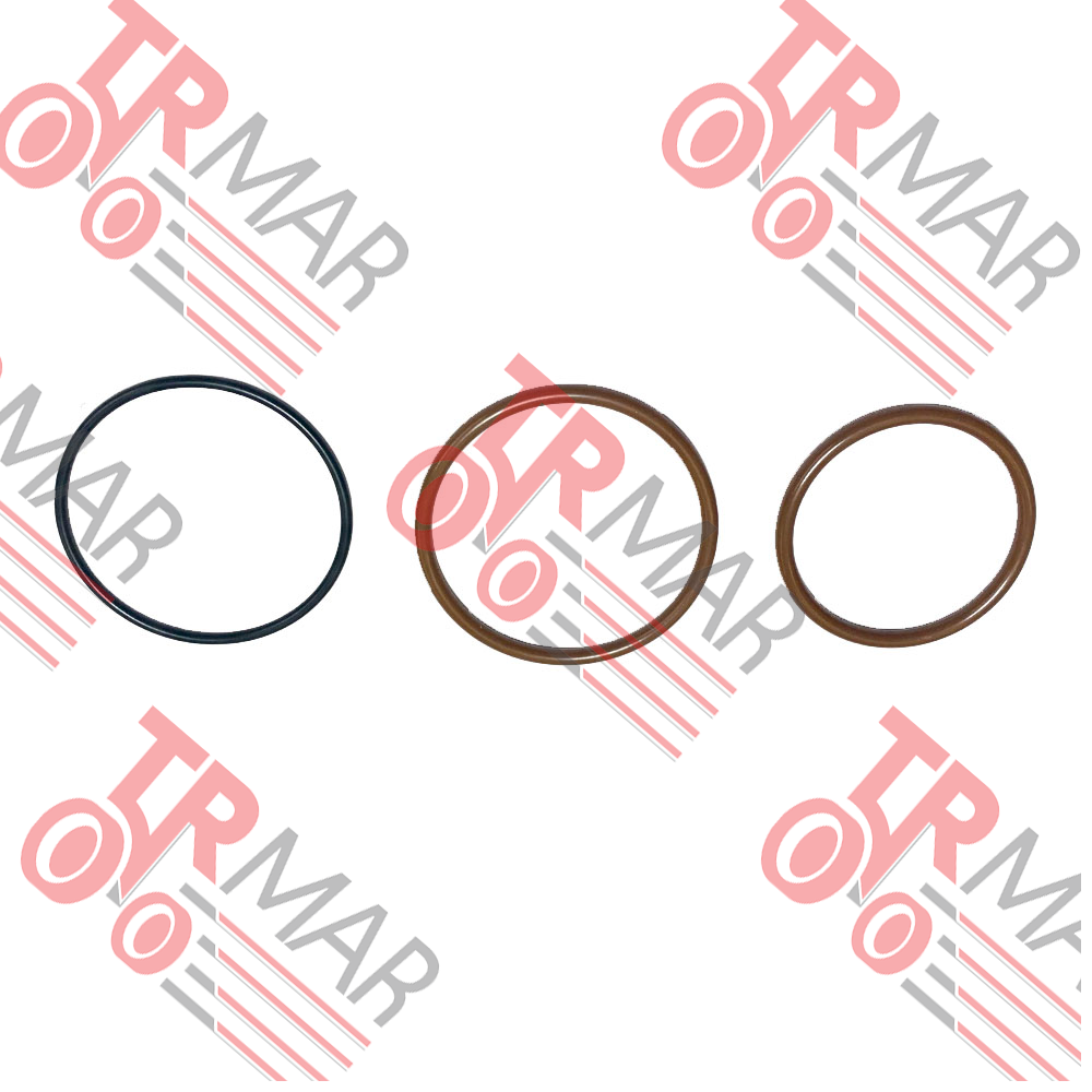 Injector Oring Kit