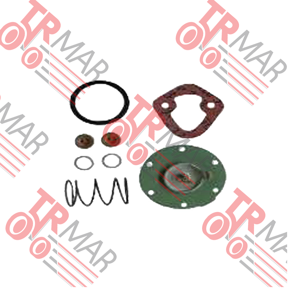 Fuel Pump Repaır Kıt