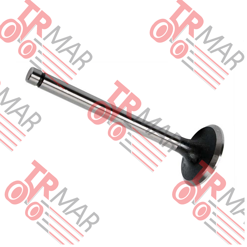 Intake Valve Std.