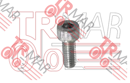 Hidrolik Pompa Civatası M8x20