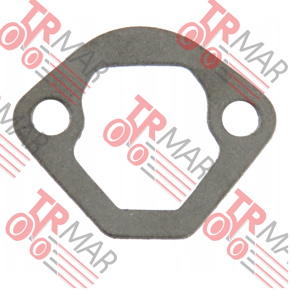 Fuel Feed Pump Gasket