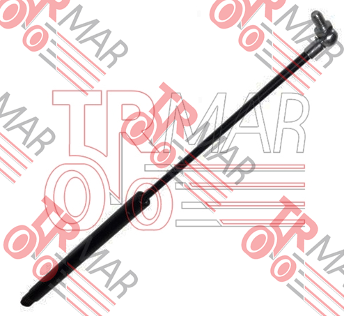 Gas Strut
