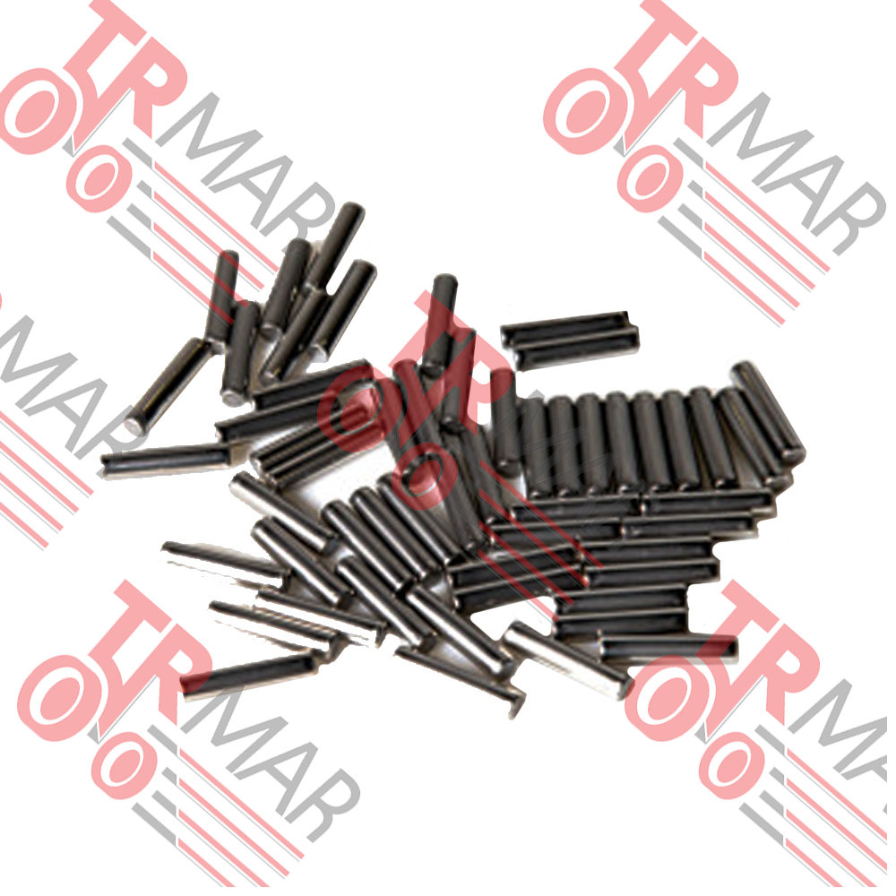 Needle Bearing