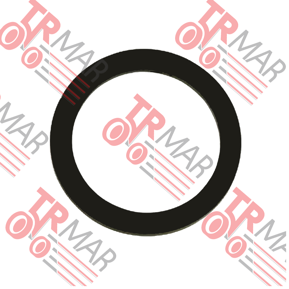Fuel Filter Seal