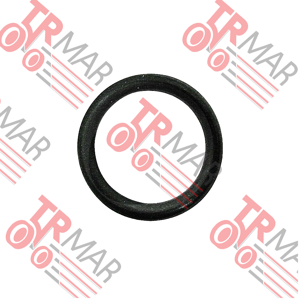 Hyd. Thick Pipe Oring Big