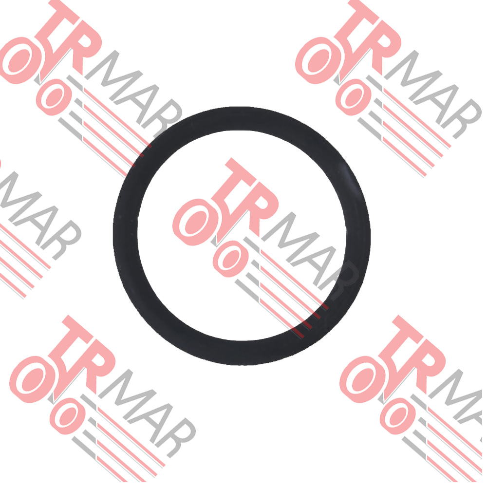 Water Pump Oring Fine