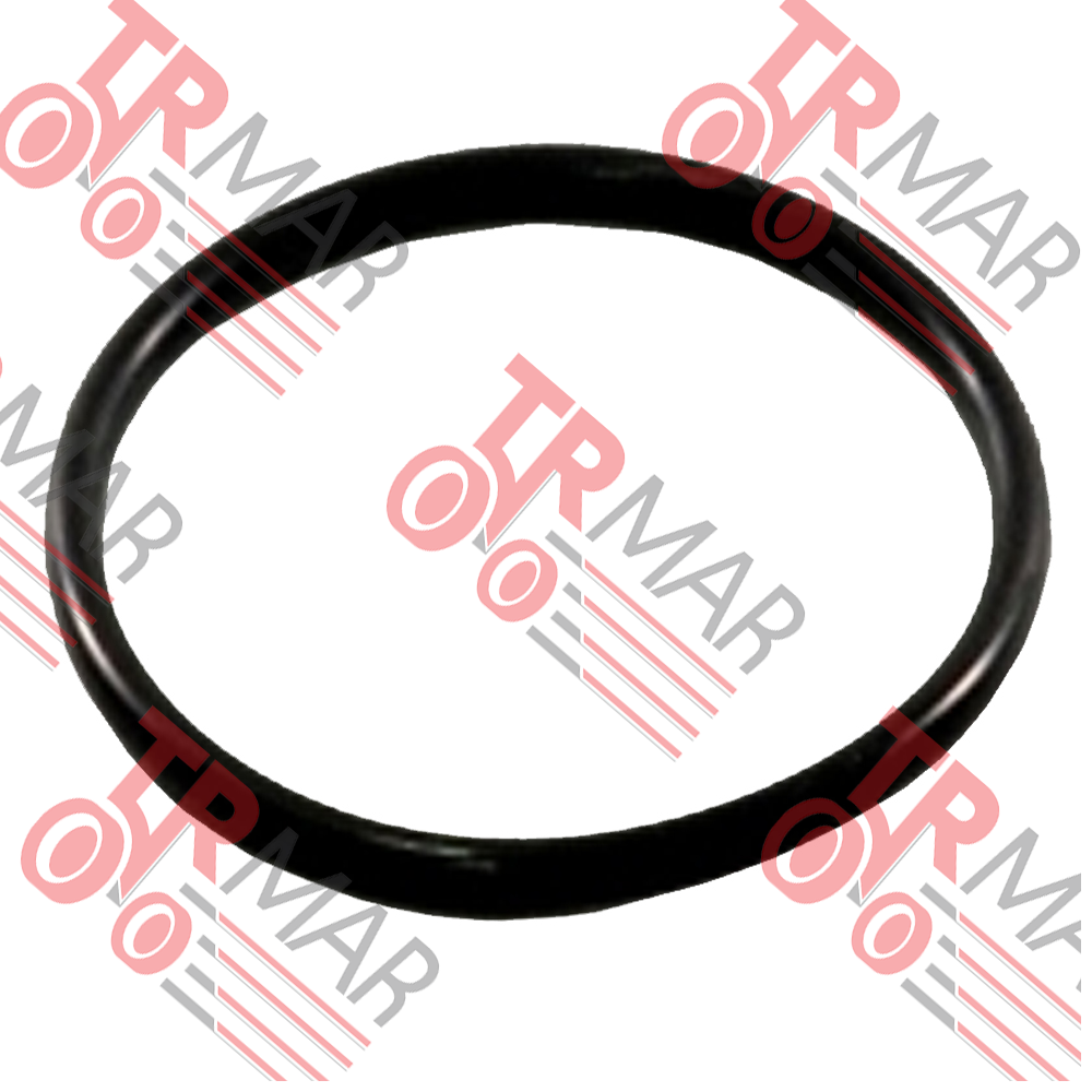 Fren Disk O-Ringi 