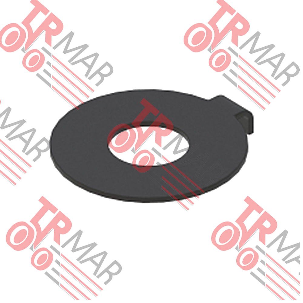 Thrust Washer