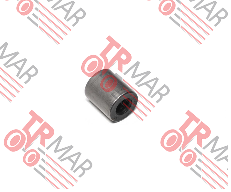 Valve Seal