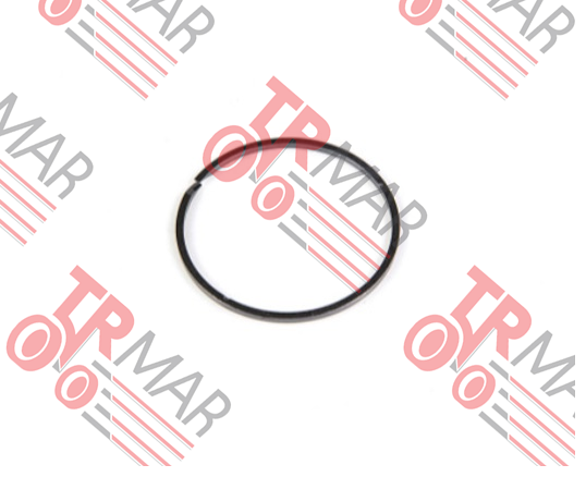 Ring Seal