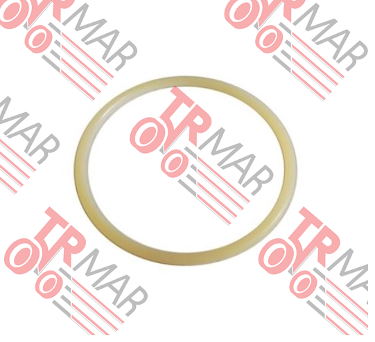 O-ring