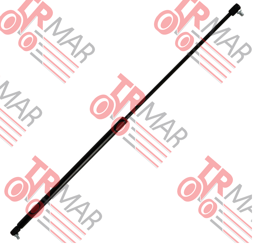 Gas Strut Door