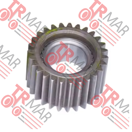 Planetary Gear W/Bearing