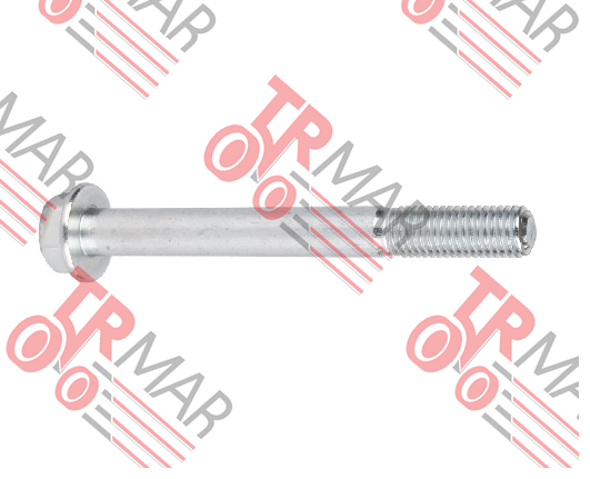 Exhaust Manifold Screw
