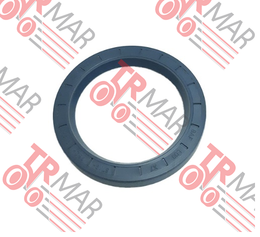Rear Seal
