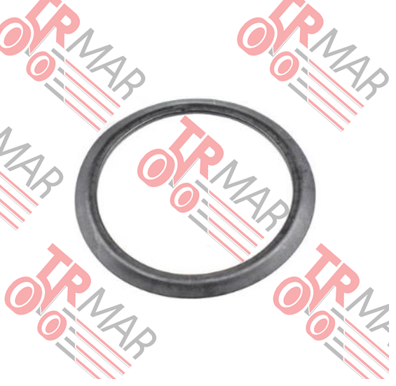 Dust Seal