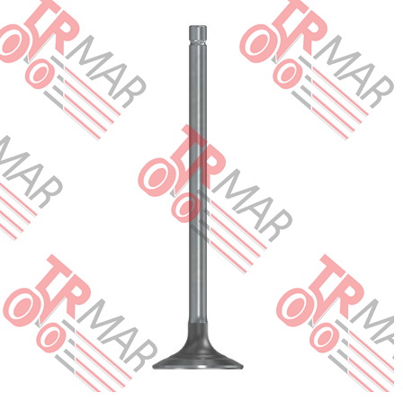 Exhuaust Valve Std