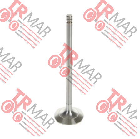 Inlet Valve Std