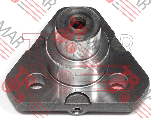 Pivot / King Pin