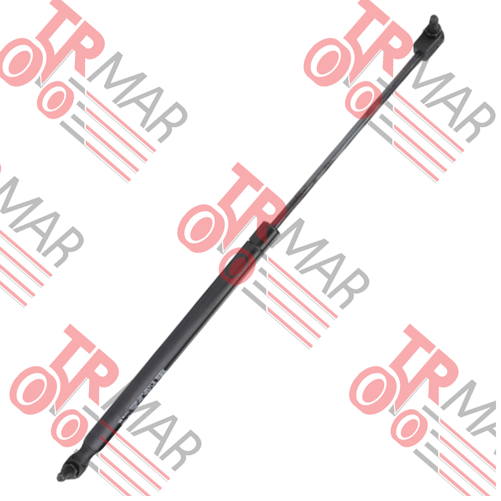 Gas Strut