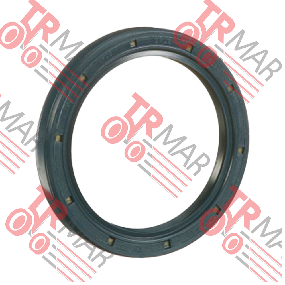 Oil Seal