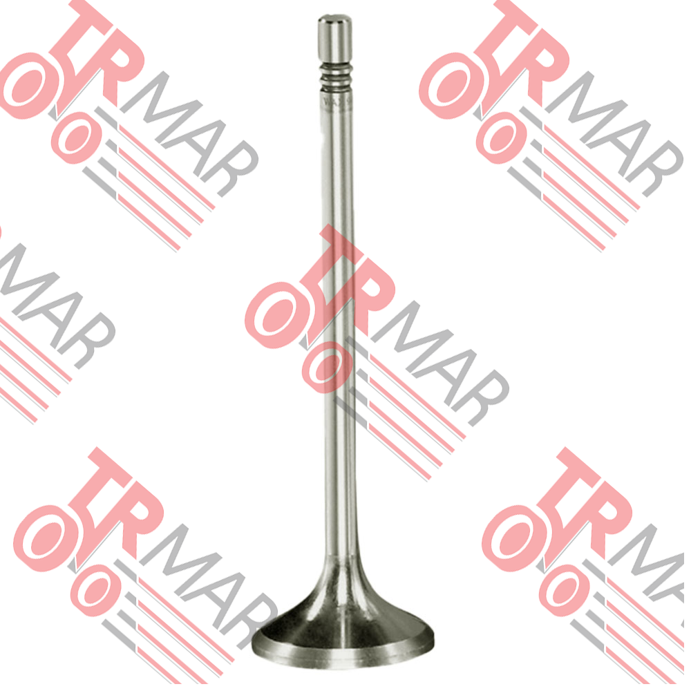 Intake Valve Std.