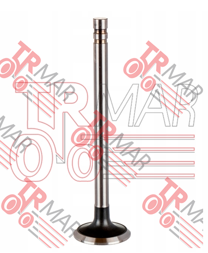 Exhaust Valve STD