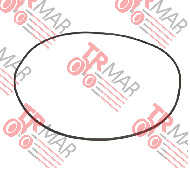 O-Ring
