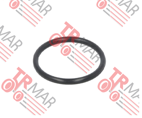 O-ring