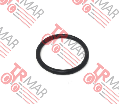 O-Ring