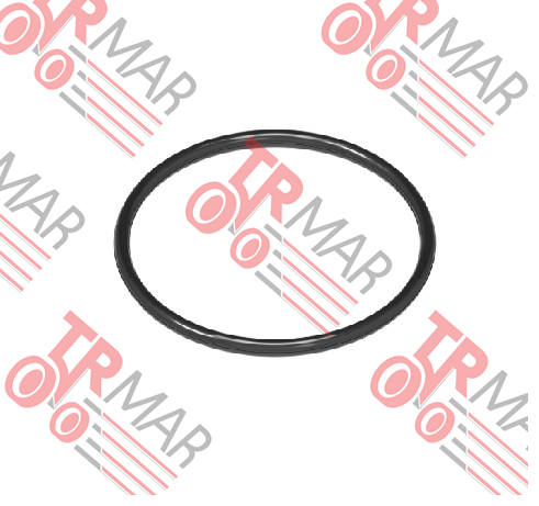 O-Ring
