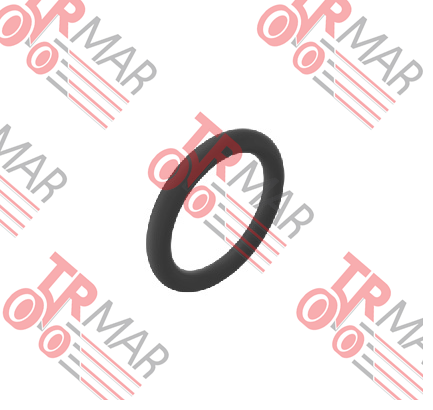 O-Ring