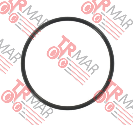 O-Ring