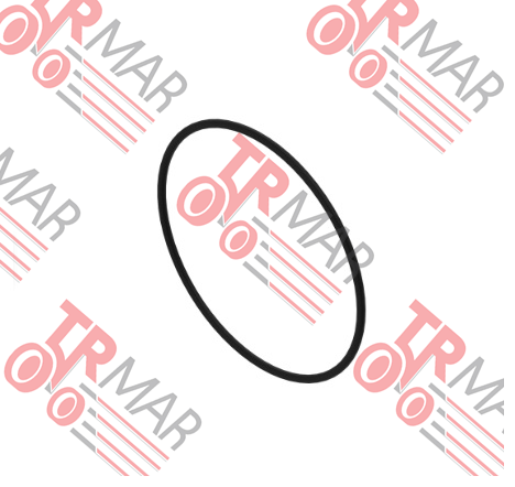 O-Ring