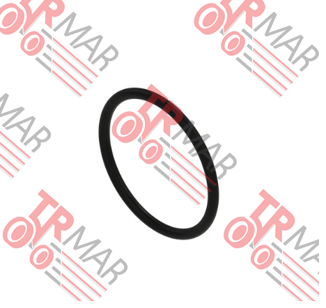 O-Ring