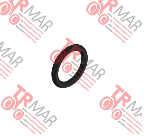 O-Ring