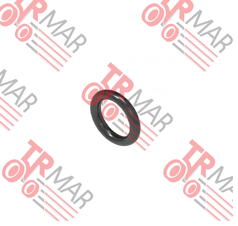 O-Ring
