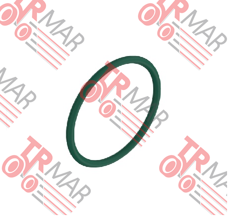 O-Ring