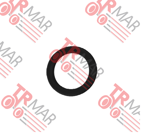 O-Ring