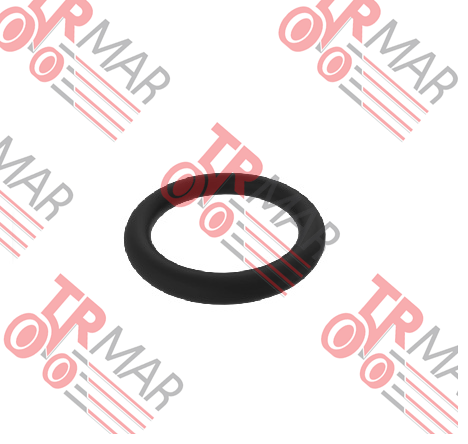 O-Ring