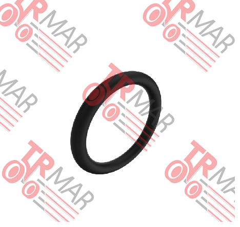 O-Ring