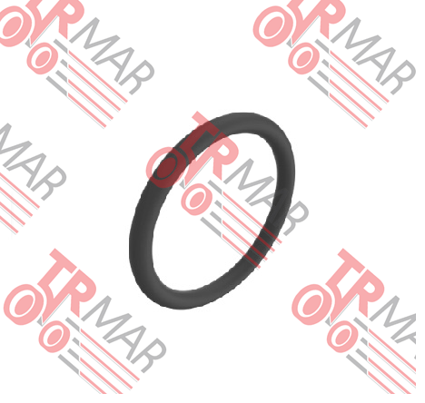 O-Ring