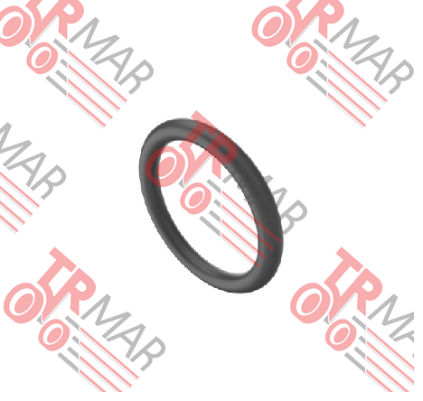 O-Ring