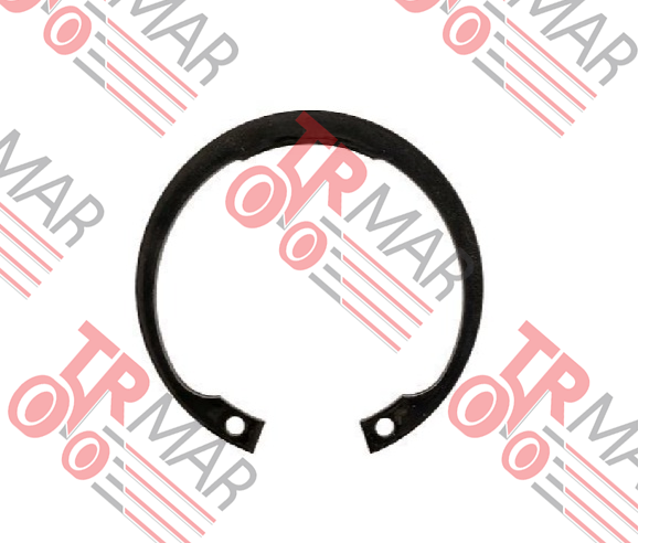 Snap Ring